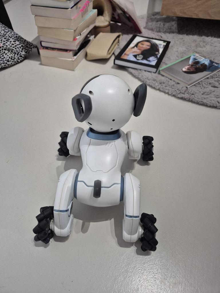 Chip robothond, Kinderen en Baby's, Speelgoed | Overig, Gebruikt, Jongen of Meisje, Ophalen of Verzenden