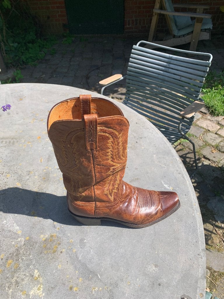 Cowboylaarzen 42, Kleding | Heren, Bruin, Boots, Ophalen of Verzenden, Gedragen