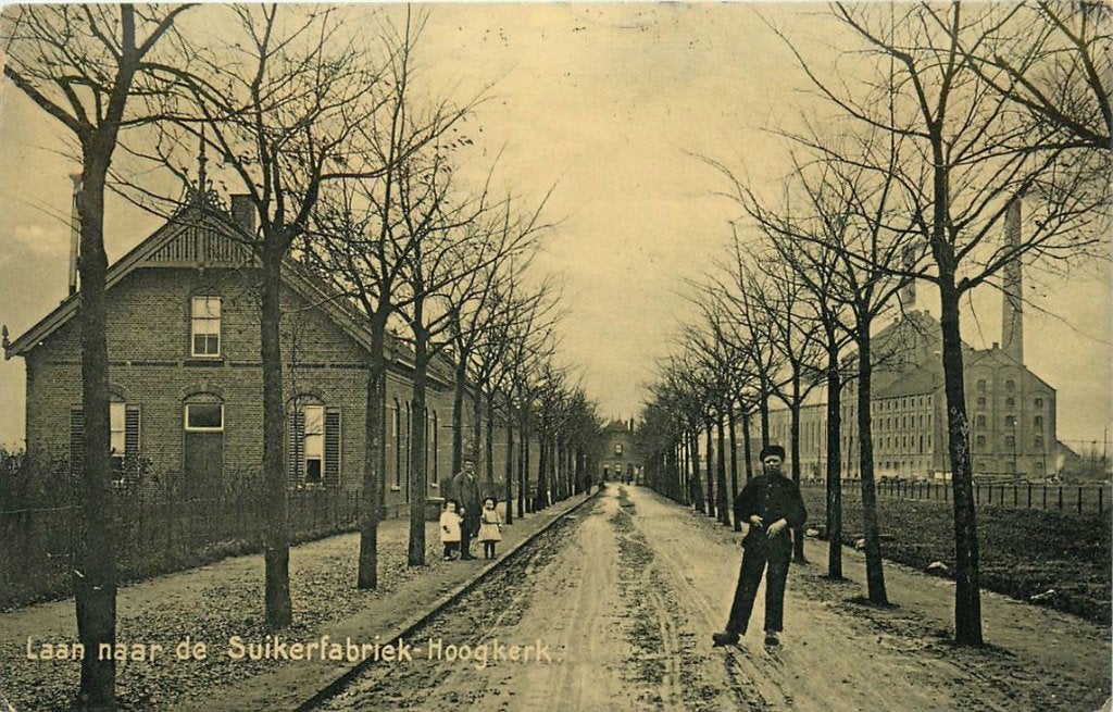 378-377-045 Hoogkerk Laan naar de Suikerfabriek, Verzenden, Voor 1920, Groningen