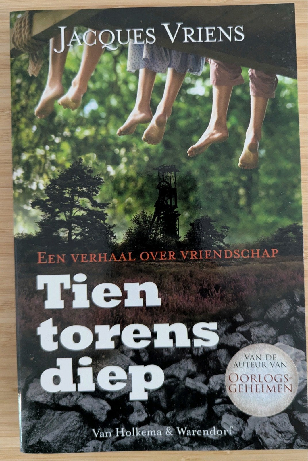 Tien Torens Diep - Jacques Vriens (Jeugdboek), Ophalen of Verzenden, Gelezen