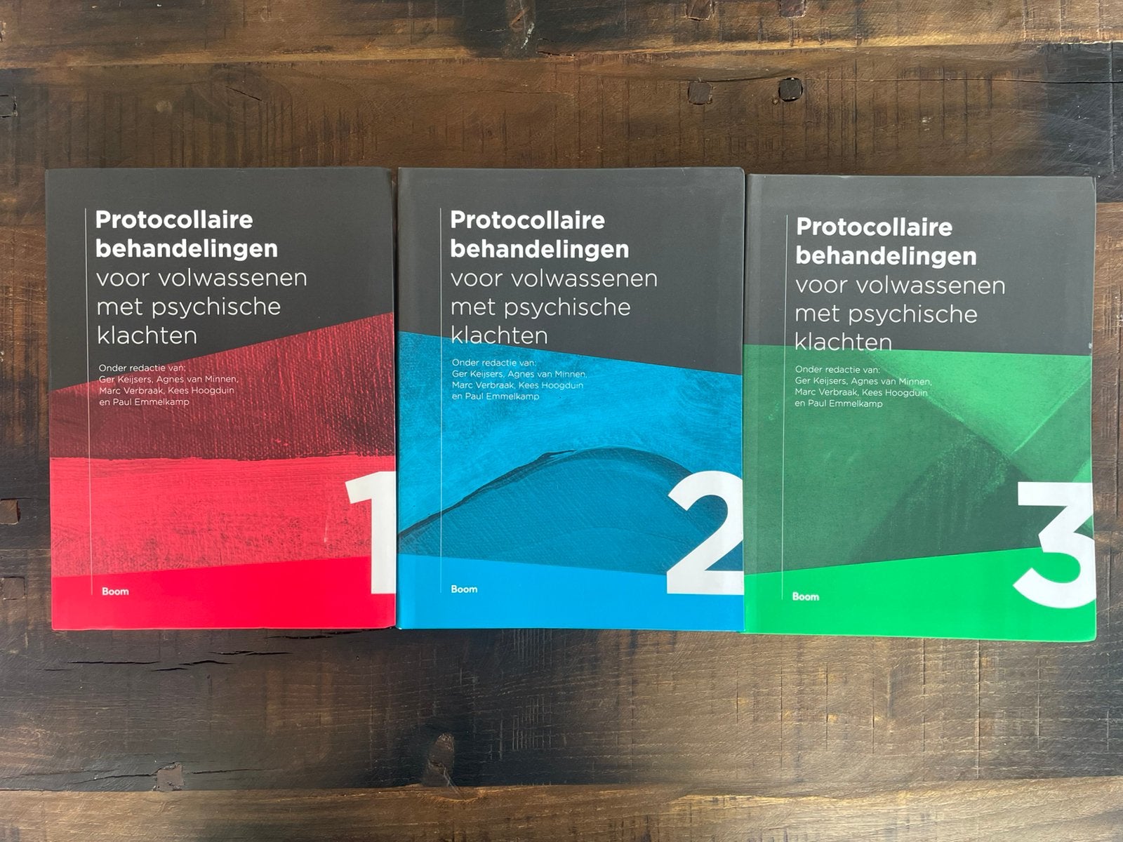 Protocollaire behandelingen, Boeken, Psychologie, Zo goed als nieuw, Verzenden