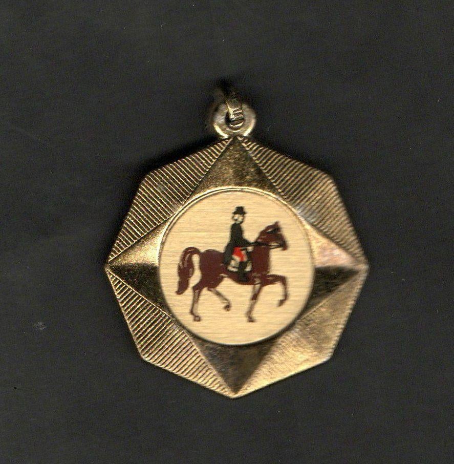 Medaille Concours Hippique, Tynaarlo Huifkar Internationaal., Ophalen of Verzenden, Zo goed als nieuw