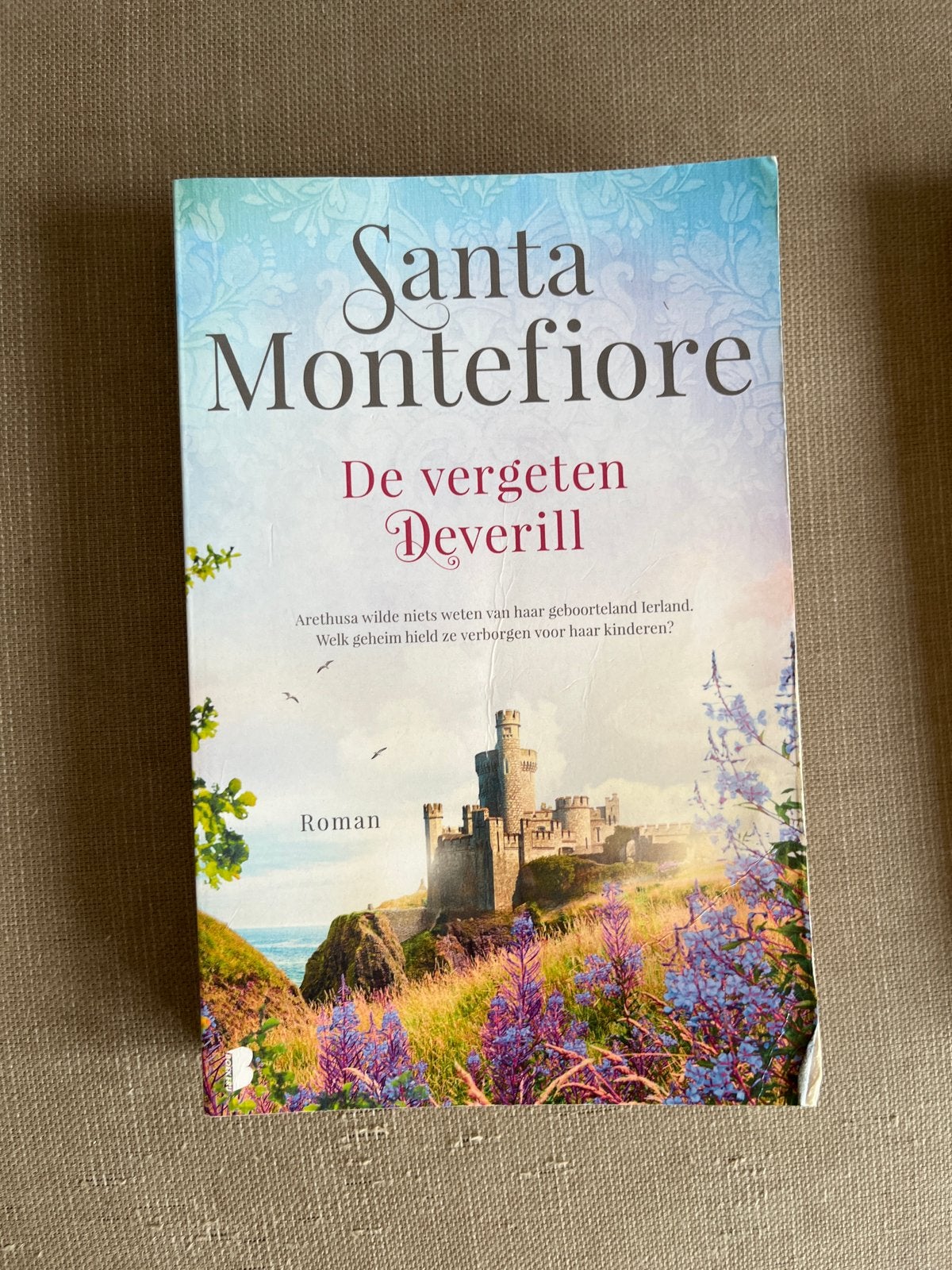 De vergeten Deverill - Santa Montefiore Roman, Ophalen of Verzenden, Gelezen, Europa overig