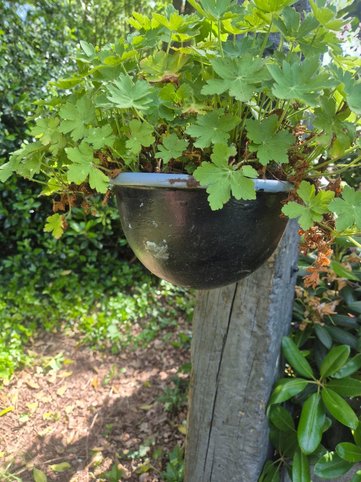 4 x Gietijzer drinkbak bloembak lampenkap buitenlamp, Ophalen, Minder dan 30 cm, Rond, Metaal