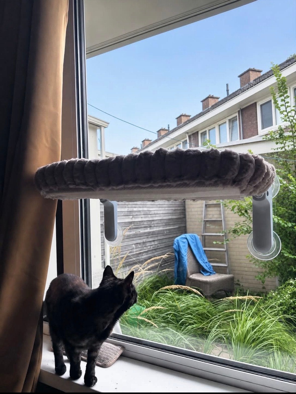 Katten raam hangmat nieuw, Ophalen of Verzenden, Nieuw
