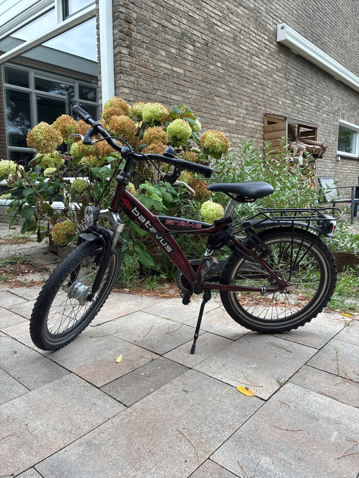 Batavus Snake kinderfiets - 20 inch, Fietsen en Brommers, Ophalen, Terugtraprem, Gebruikt, Versnellingen