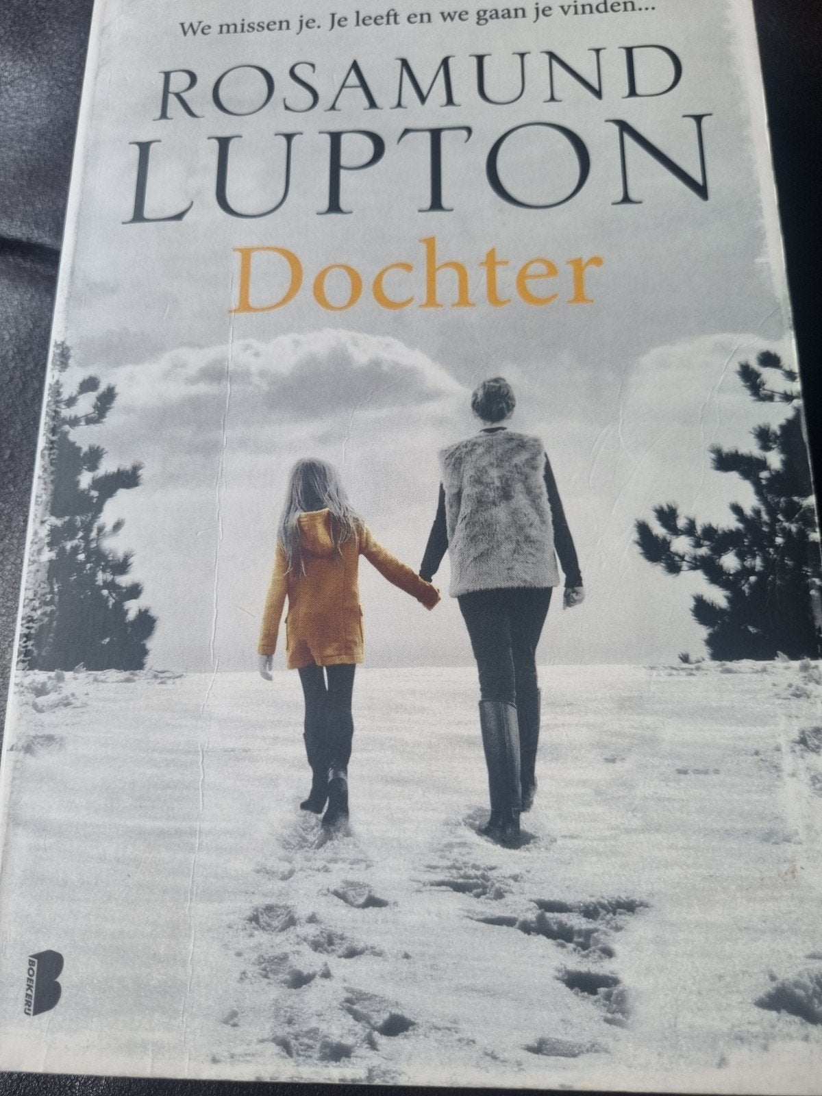 Rosamund Lupton - Dochter (roman), Boeken, Ophalen of Verzenden, Gelezen, Rosamund Lupton, Europa overig