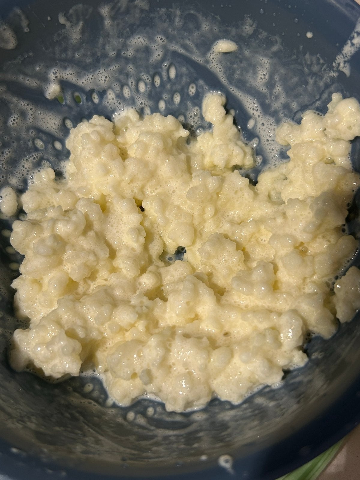 Healthy Milk Kefir Grains 10g, Ophalen