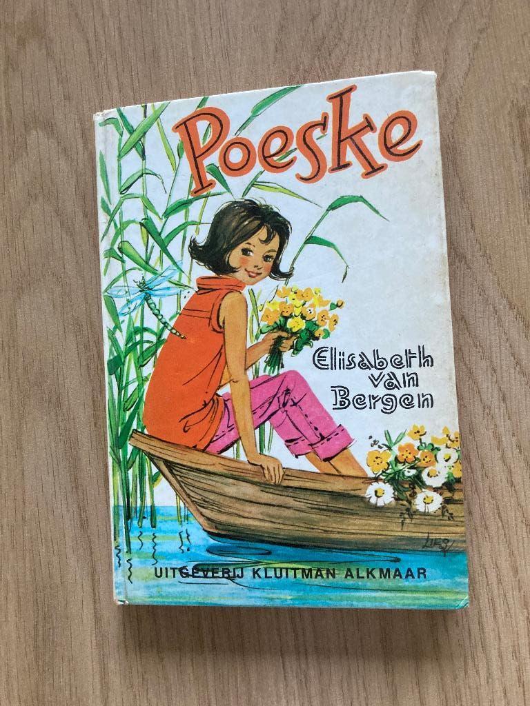 Boek Elisabeth van Bergen, Ophalen of Verzenden, Gelezen