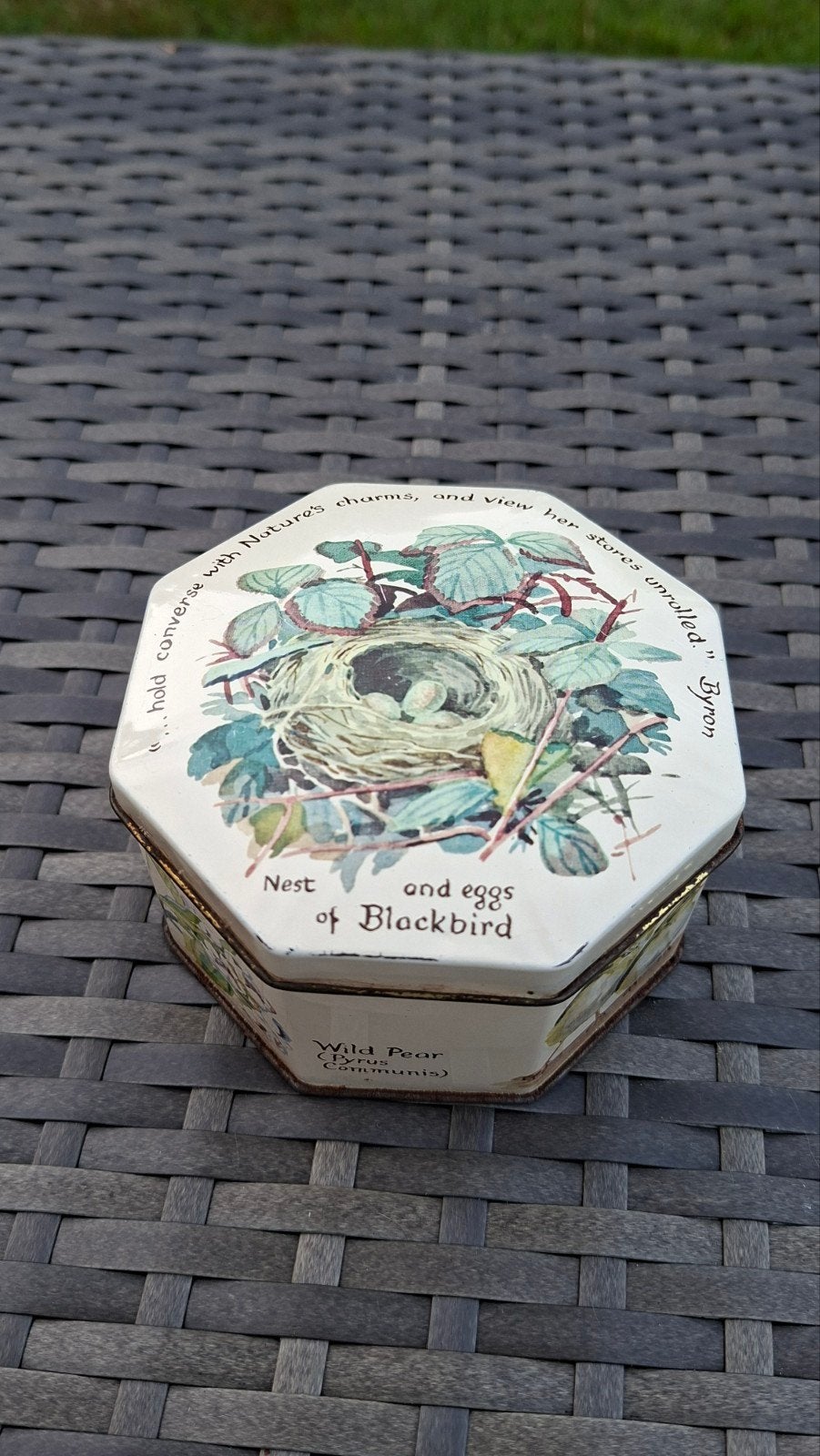 Vintage theeblikje 1977 Richard Webb Ltd. met vogels, Verzamelen, Ophalen of Verzenden, Gebruikt, Thee, Overige merken