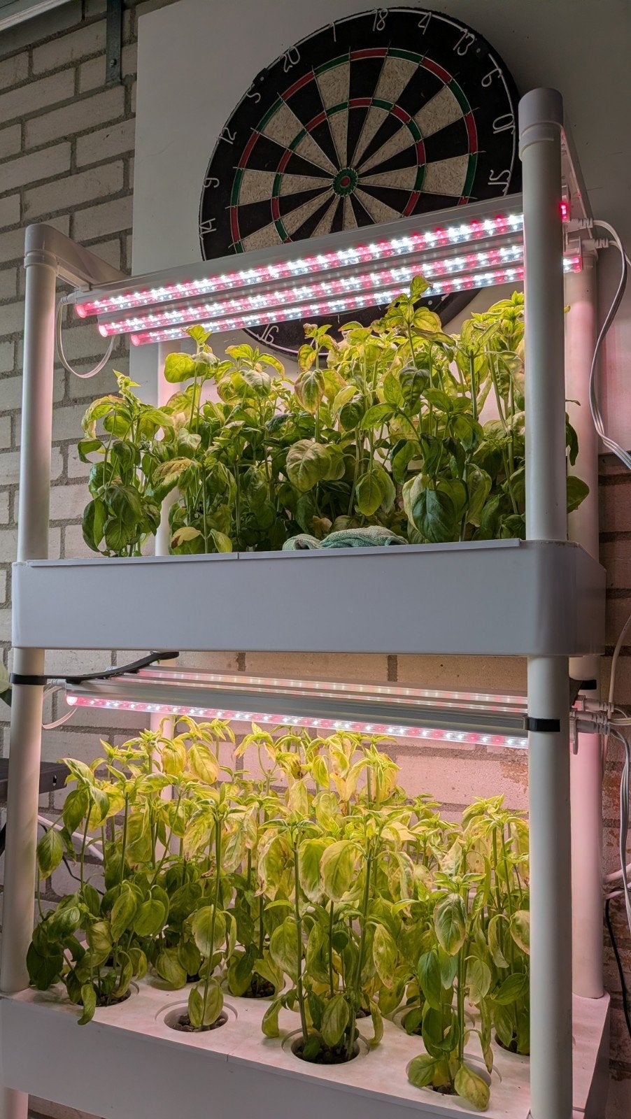 Elfsys Grow Tower 3-laags Hydrocultuur Systeem, Ophalen, Gebruikt, Overige typen
