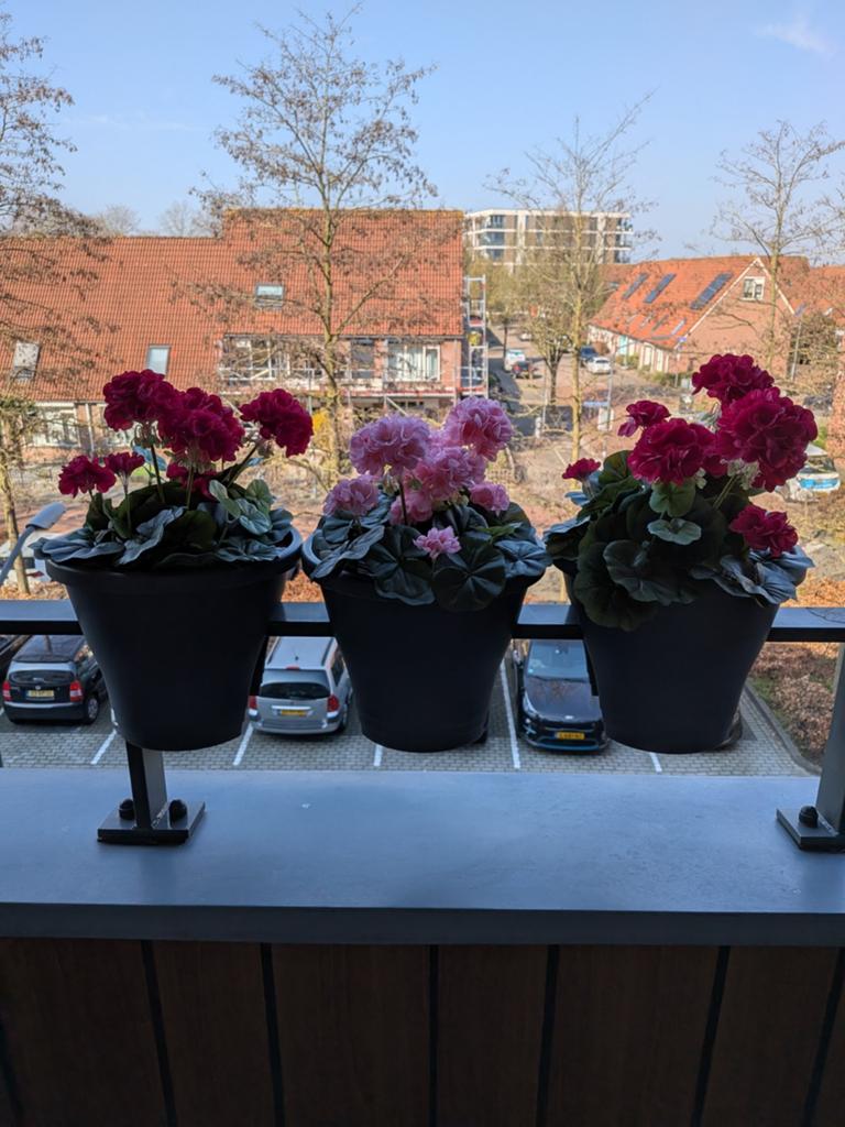 set van 3 Elho Green Basics Flower Bridge balkonbakken, Tuin en Terras, Bloembakken en Plantenbakken, Ophalen, Nieuw, Kunststof