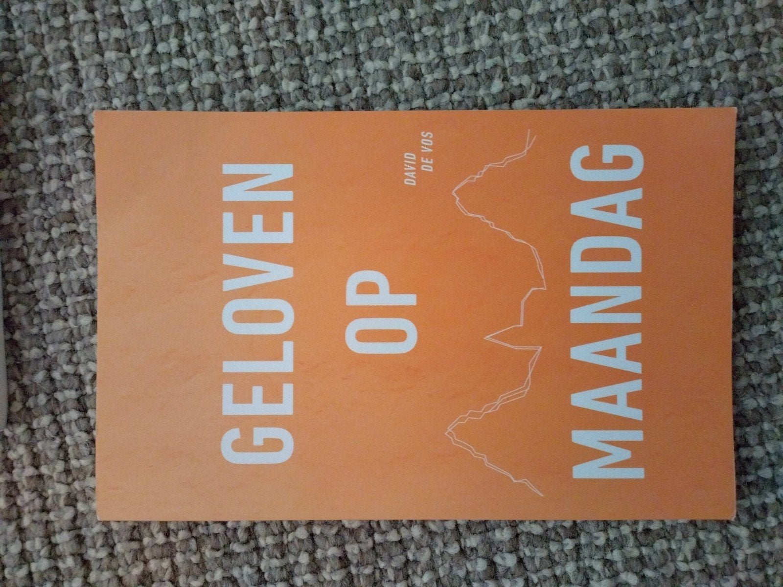 GELOVEN OP MAANDAG - David de Vos, Ophalen of Verzenden, Zo goed als nieuw, David de Vos, Christendom | Protestants