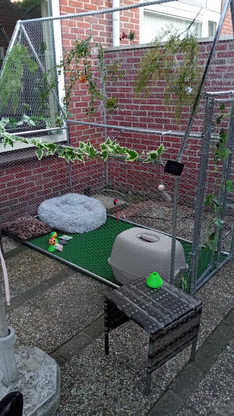 nieuwe stevige buitenren 200/190 bij 190 hoog, Ophalen, Hondenkennel, 110 cm of meer, 100 cm of meer