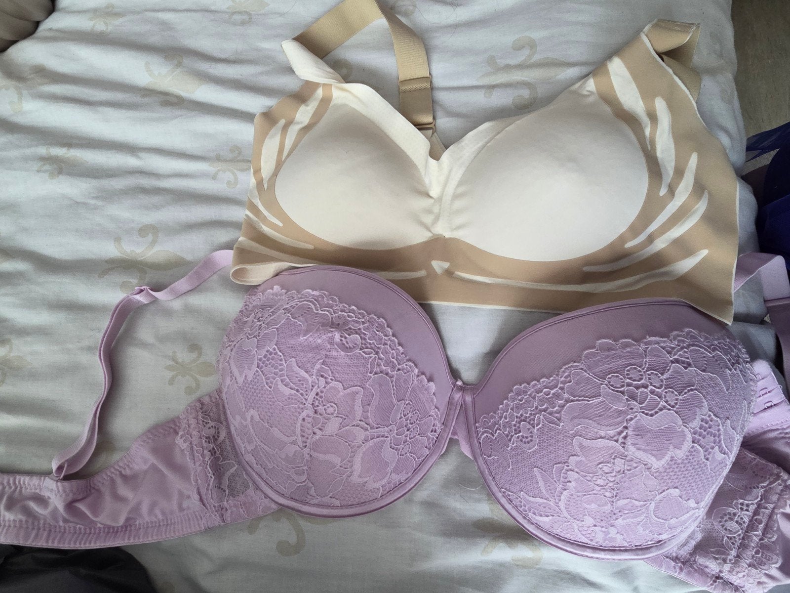 Nieuwe Zeeman BH - Maat 85D, Zeeman, Ophalen of Verzenden, Paars, BH