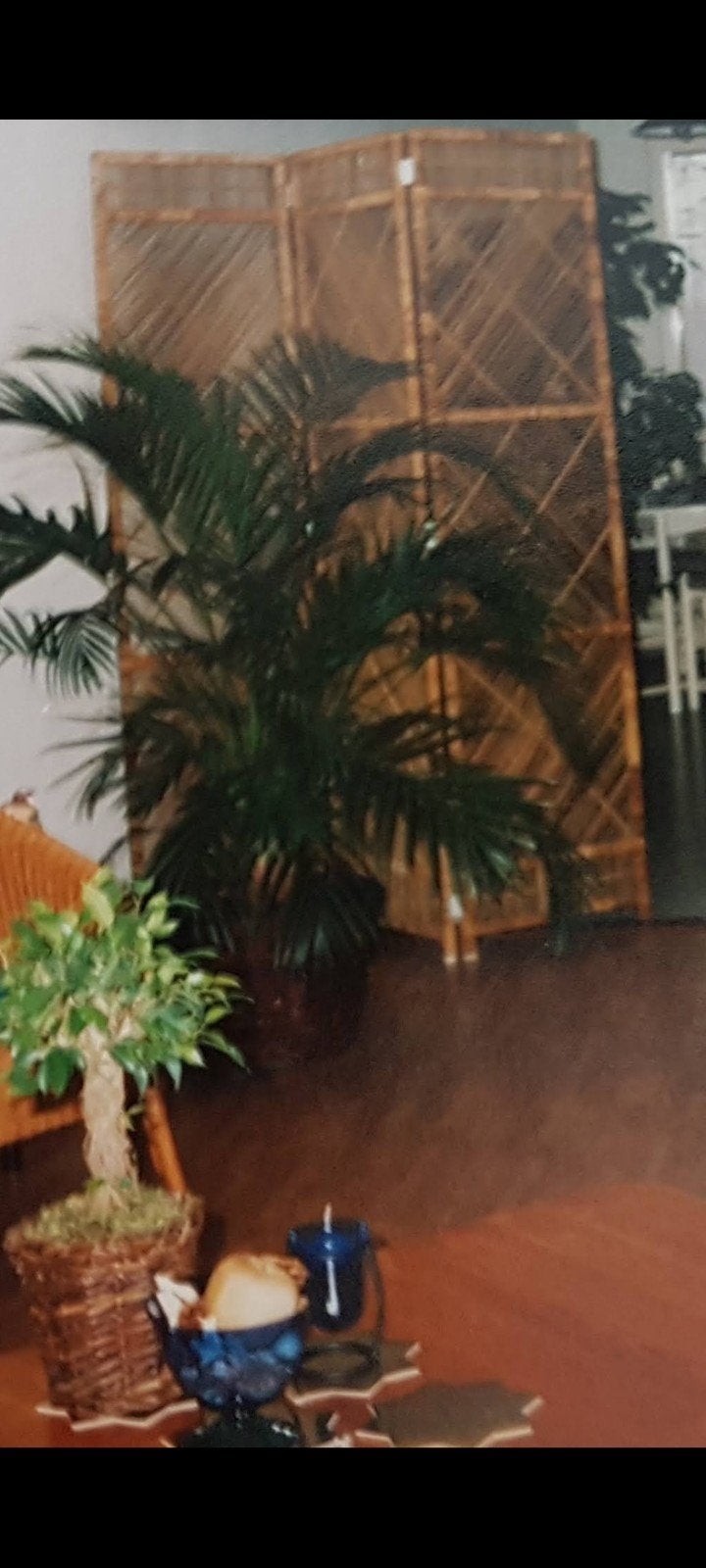 Kamerscherm vintage bamboe, Ophalen of Verzenden