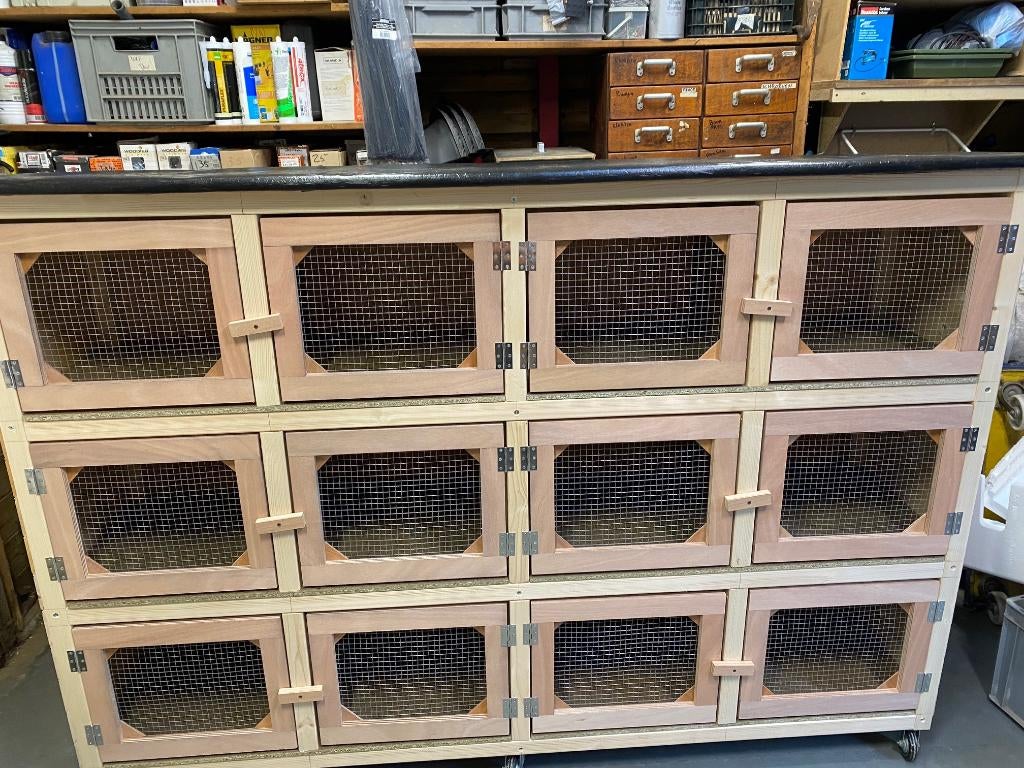 Flat 6 hokken nieuw, Dieren en Toebehoren, 110 cm of meer, Nieuw, Ophalen of Verzenden, Hamster