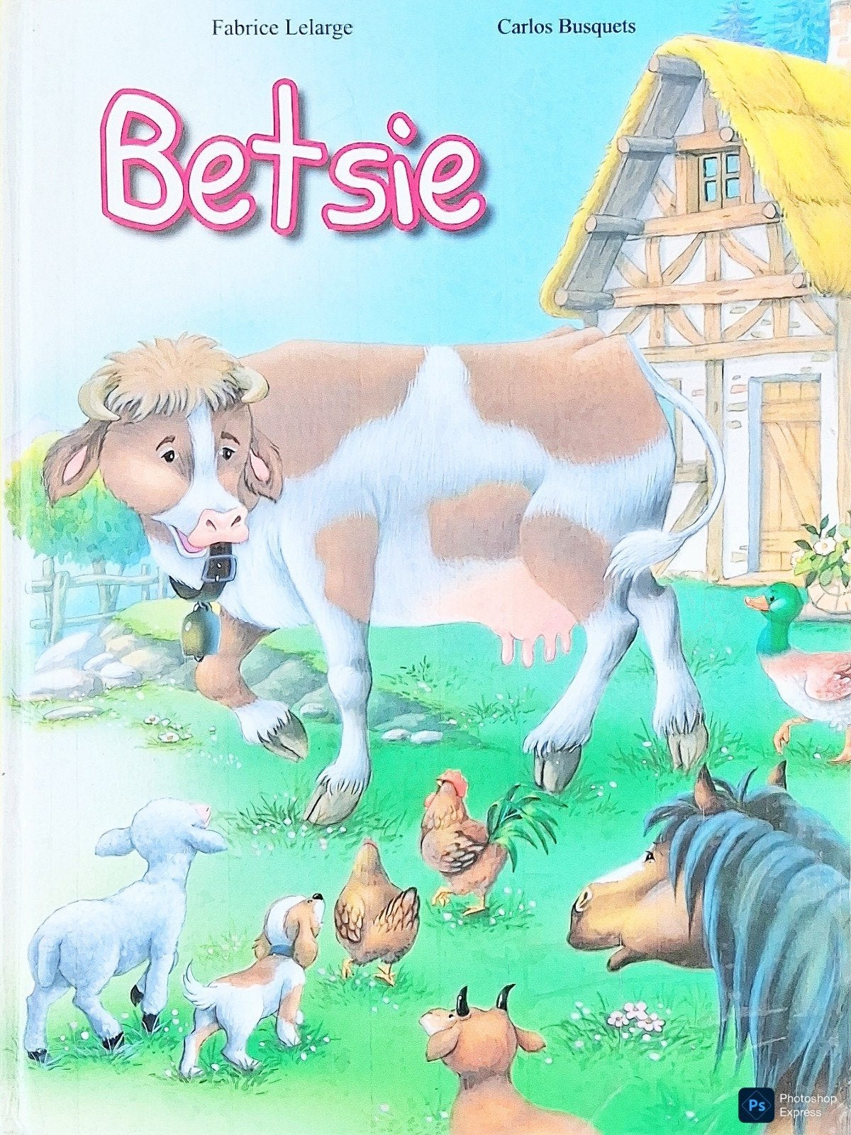 Betsie, Gelezen, Fictie algemeen, Jongen of Meisje, Fabrice Lelarge • Carlos Busquets.