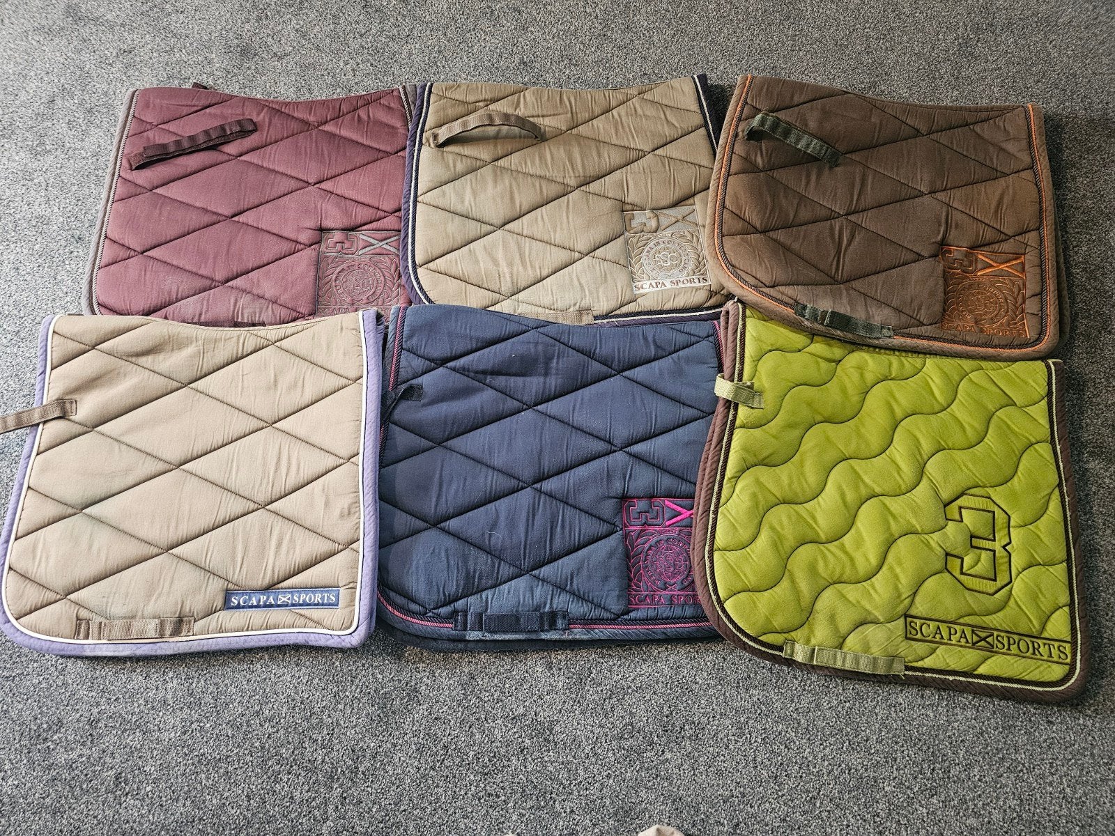 6x dressuur scapa full, Ophalen of Verzenden, Gebruikt