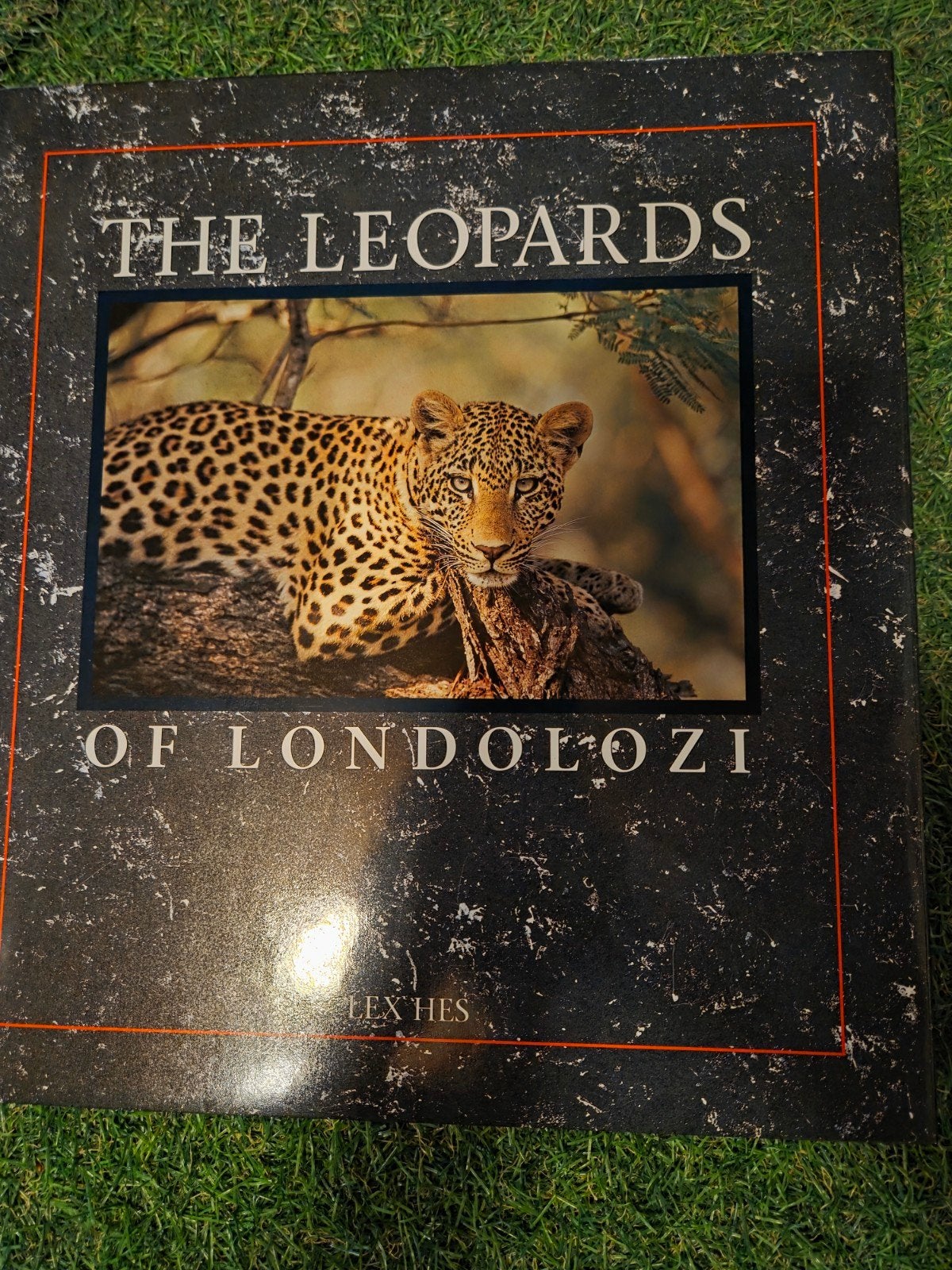 The Leopards, Ophalen of Verzenden, Zo goed als nieuw, Katten