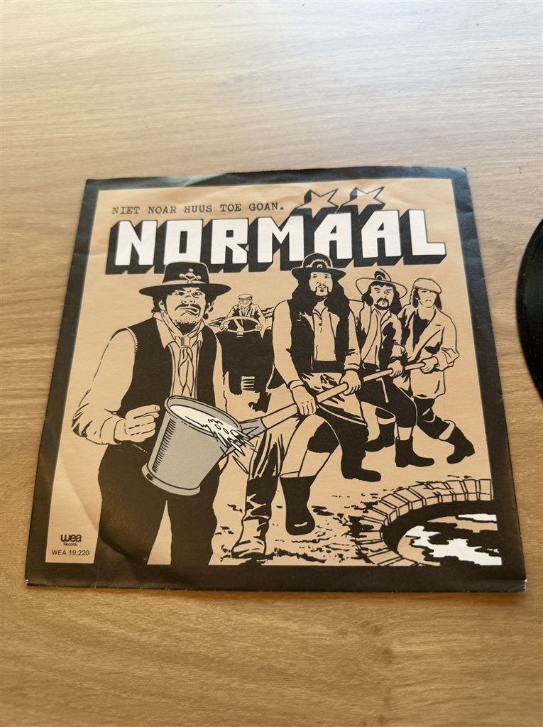 Normaal - Niet naar huus toe goan, Cd's en Dvd's, Vinyl Singles, Ophalen of Verzenden, Zo goed als nieuw, Nederlandstalig
