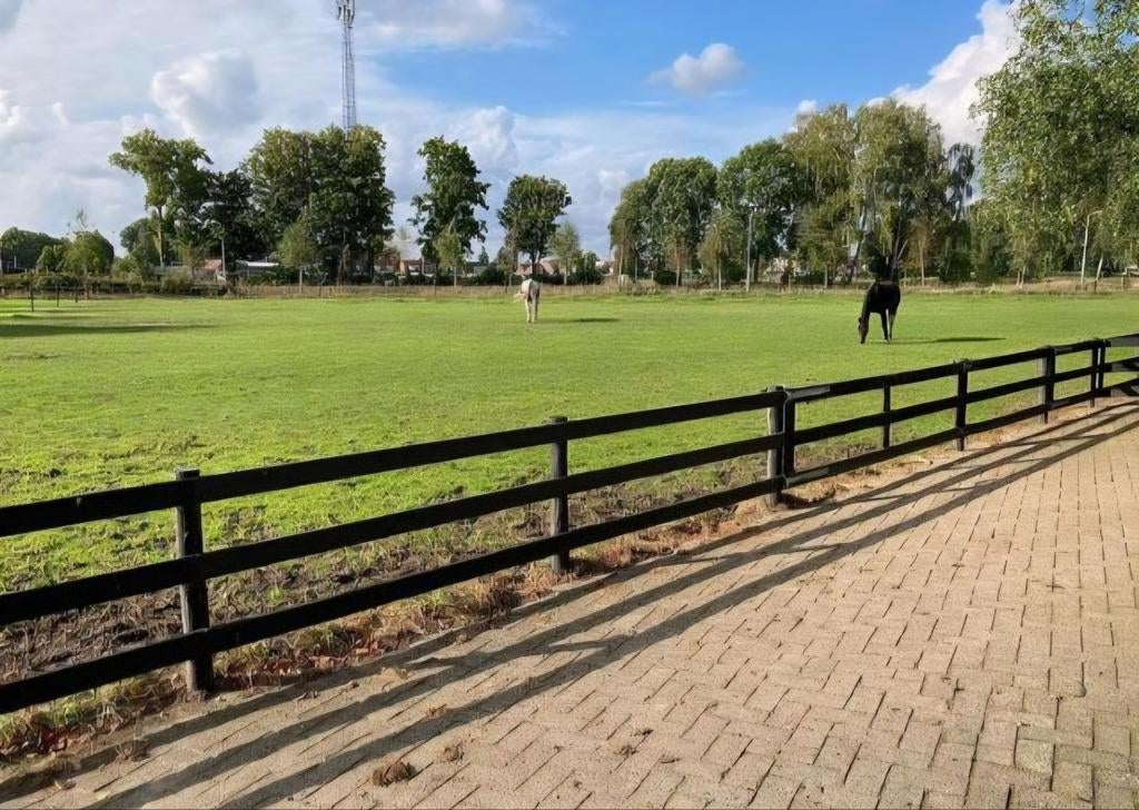Stallen vrij op "doe het zelf" pensionstal, Weidegang