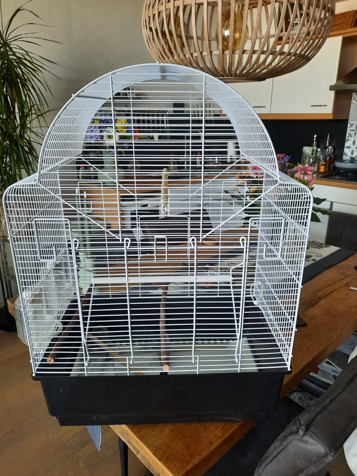 vogelkooi, Ophalen, Metaal, Vogelkooi