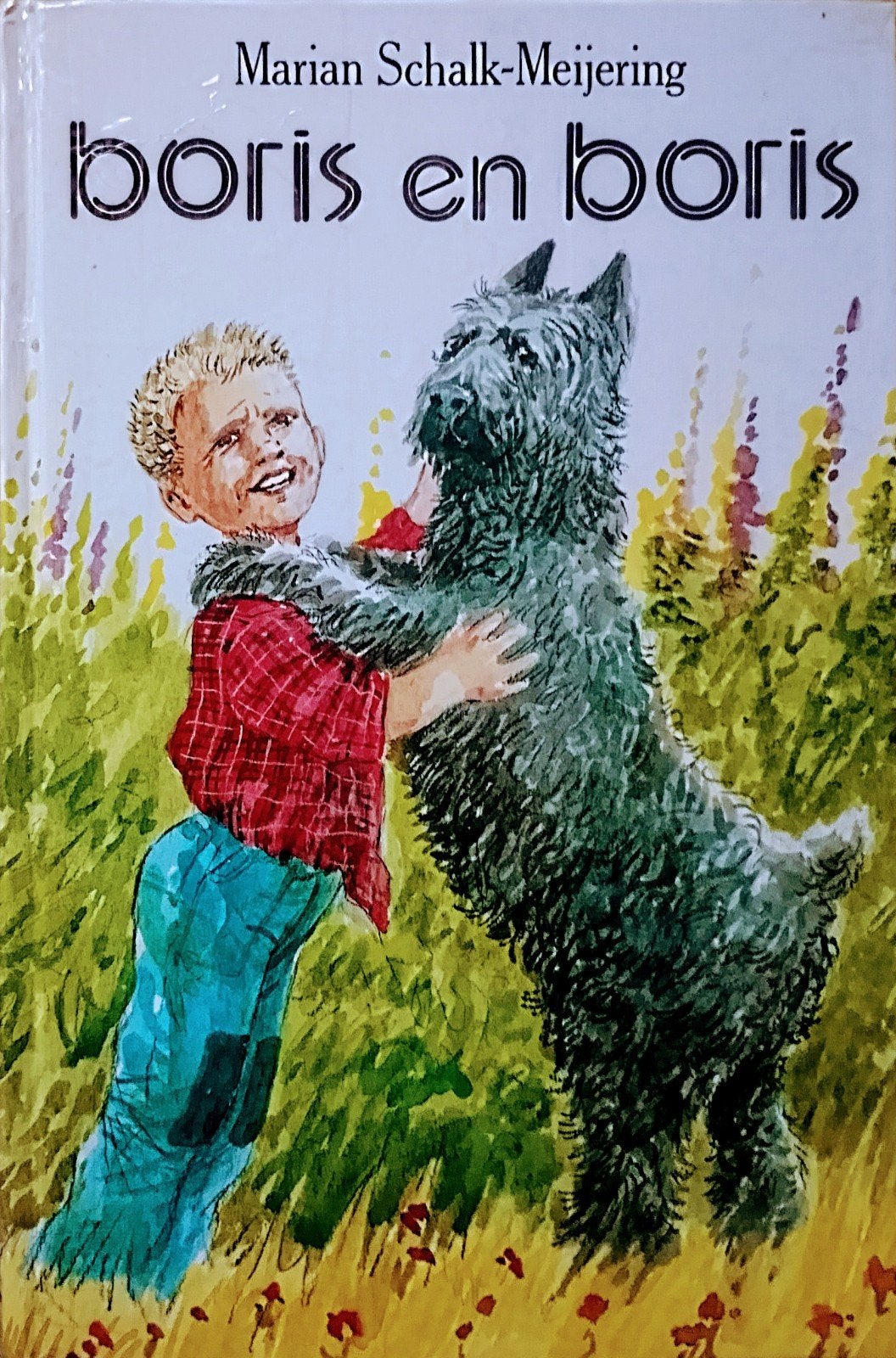 Boris En Boris, Boeken, Gelezen, Fictie algemeen, Ophalen of Verzenden, Marian Schalk-Meijering.