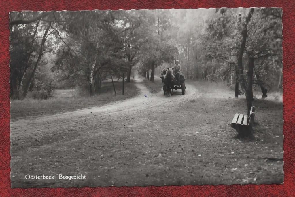 Oosterbeek - Bosgezicht (Paard en Wagen) - 1970, Ophalen of Verzenden, 1960 tot 1980, Gelopen, Gelderland