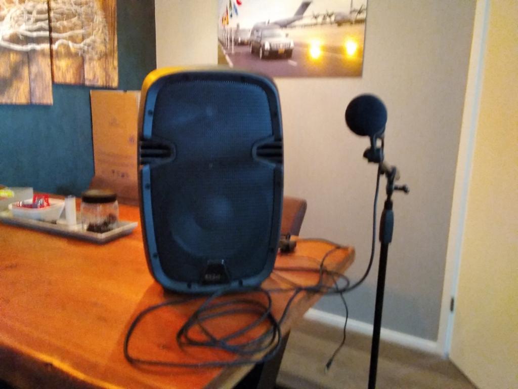 Ibiza Sound HYBRID10VHF Draagbare PA-luidspreker met microfo, Ophalen, Gebruikt, Zangmicrofoon, Draadloos