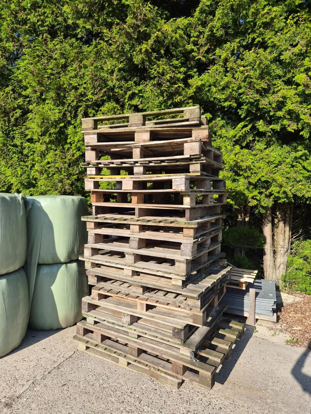 Gratis gebruikte Pallets - Grote Stapel, Ophalen, Gebruikt, Overige typen