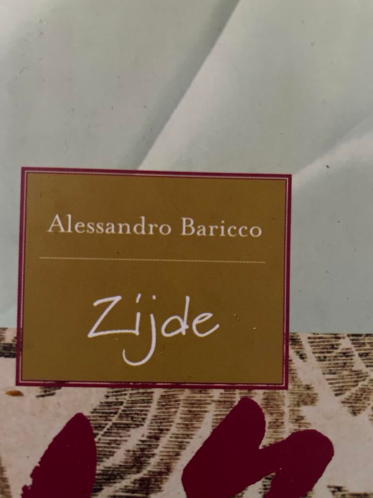Zijde - Alessandro Baricco, Ophalen of Verzenden, Gelezen, Nederland