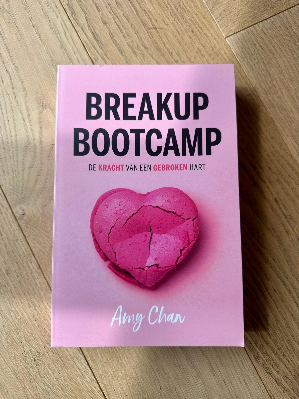 Amy Chan - Breakup Bootcamp, Boeken, Verzenden, Zo goed als nieuw, Amy Chan