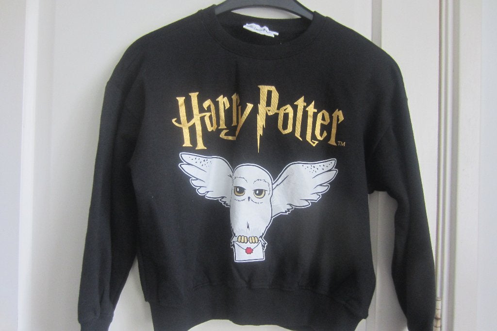 Harry Potter trui - maat 146 - 152, Jongen of Meisje, Trui of Vest, Ophalen of Verzenden, Zo goed als nieuw