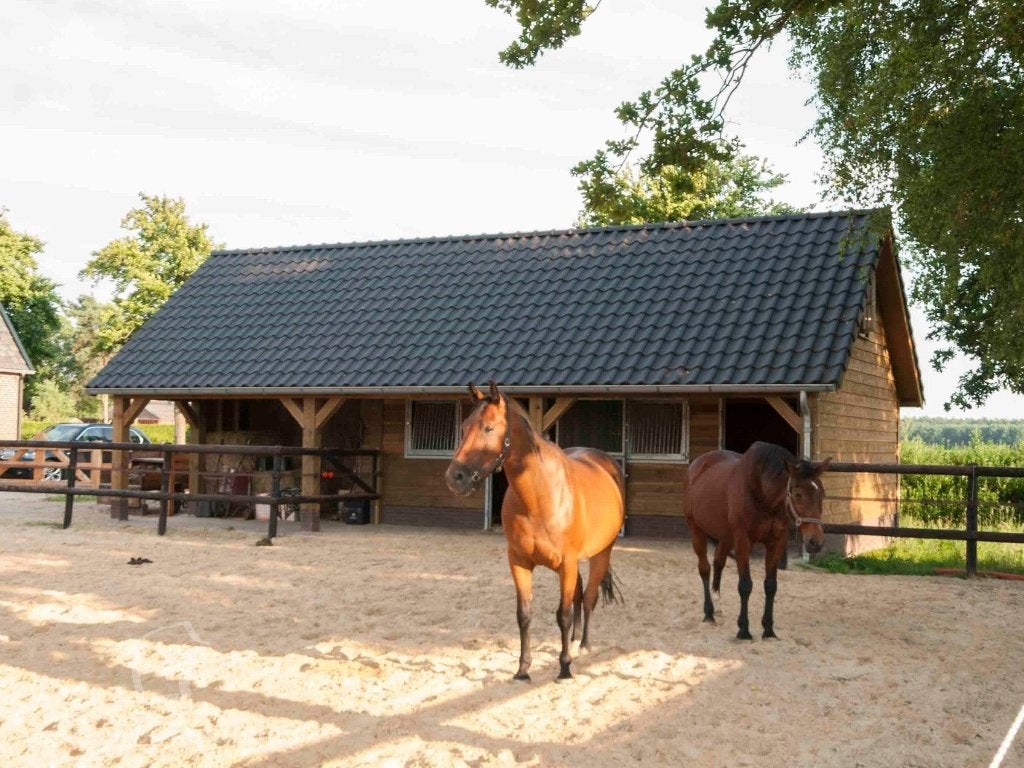 paardenstalling gezocht voor onze lieve pony, Dieren en Toebehoren, Stalling en Weidegang, Weidegang, 1 paard of pony