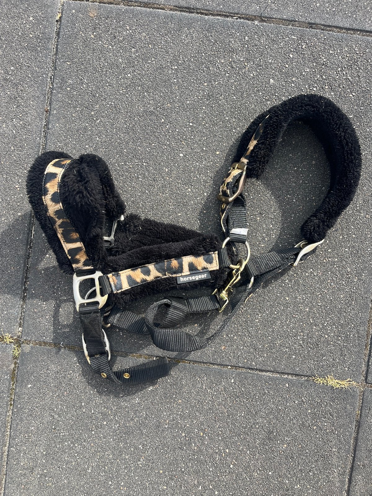 Luipaard halster, Ophalen of Verzenden, Zo goed als nieuw, Overige soorten