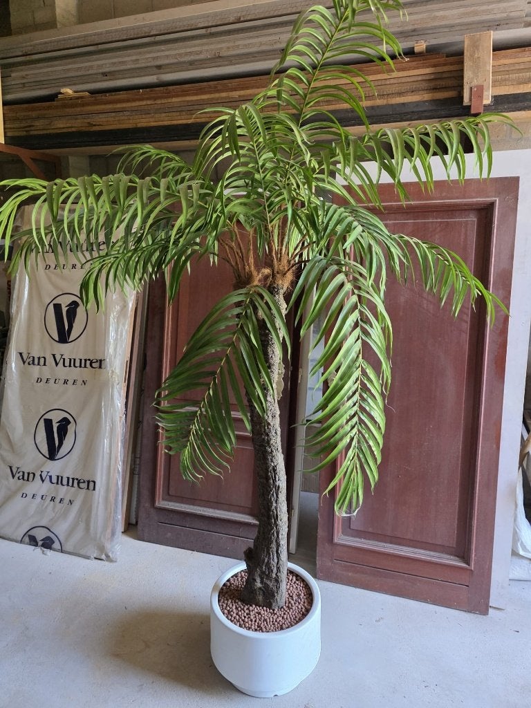 Palmboom Kunst, Ophalen, Gebruikt, Kunstplant, Groen
