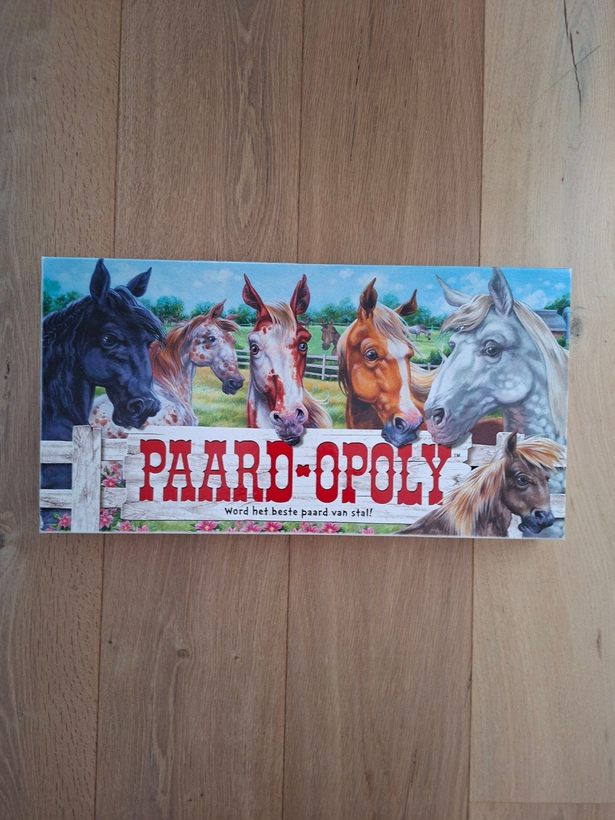 Paard-opoly Bordspel - Word het beste paard van stal!, Drie of vier spelers, Ophalen of Verzenden, Zo goed als nieuw, Onbekend