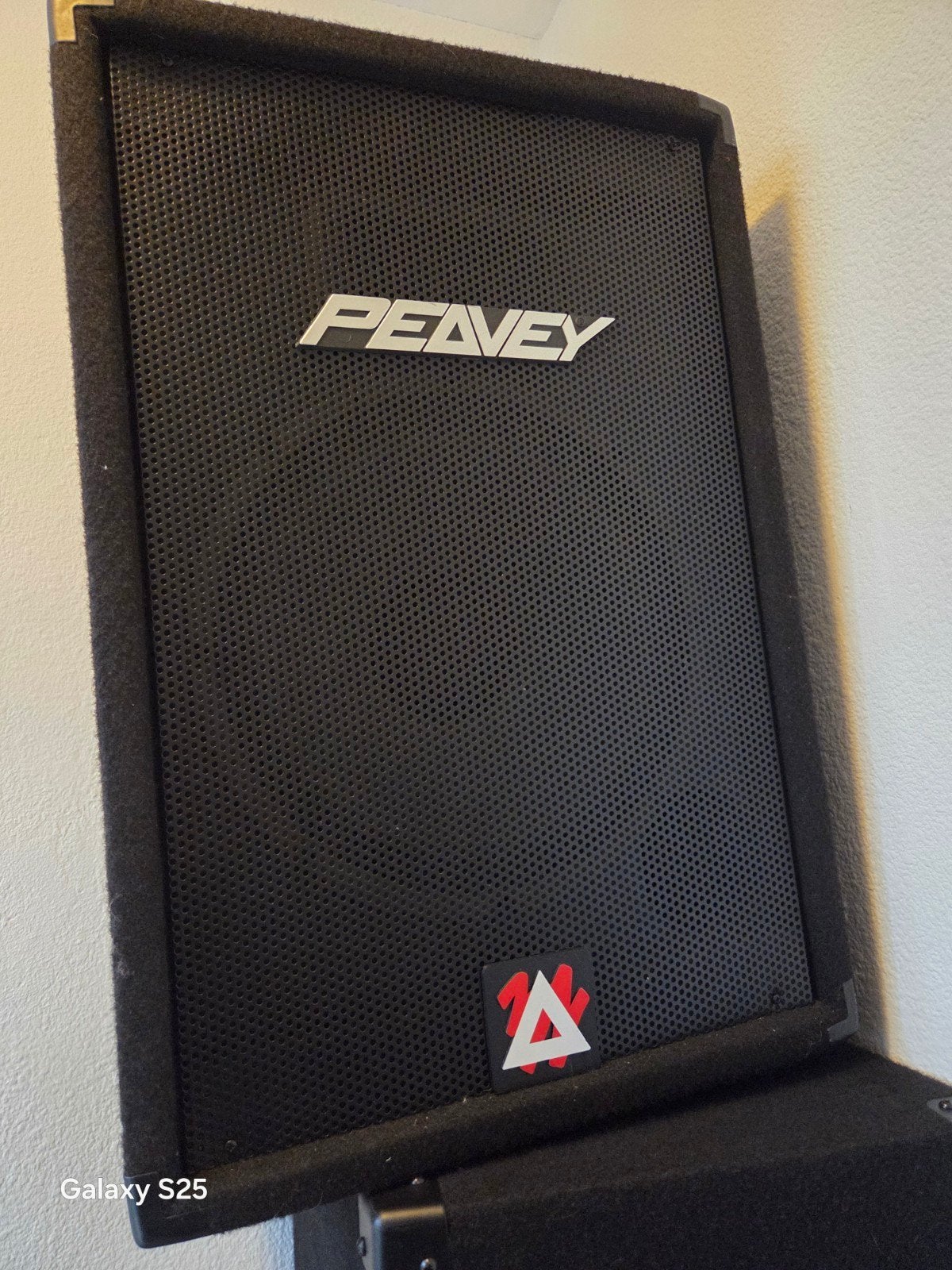 2x2 peavey speakers, Ophalen, Gebruikt, 100 watt of meer