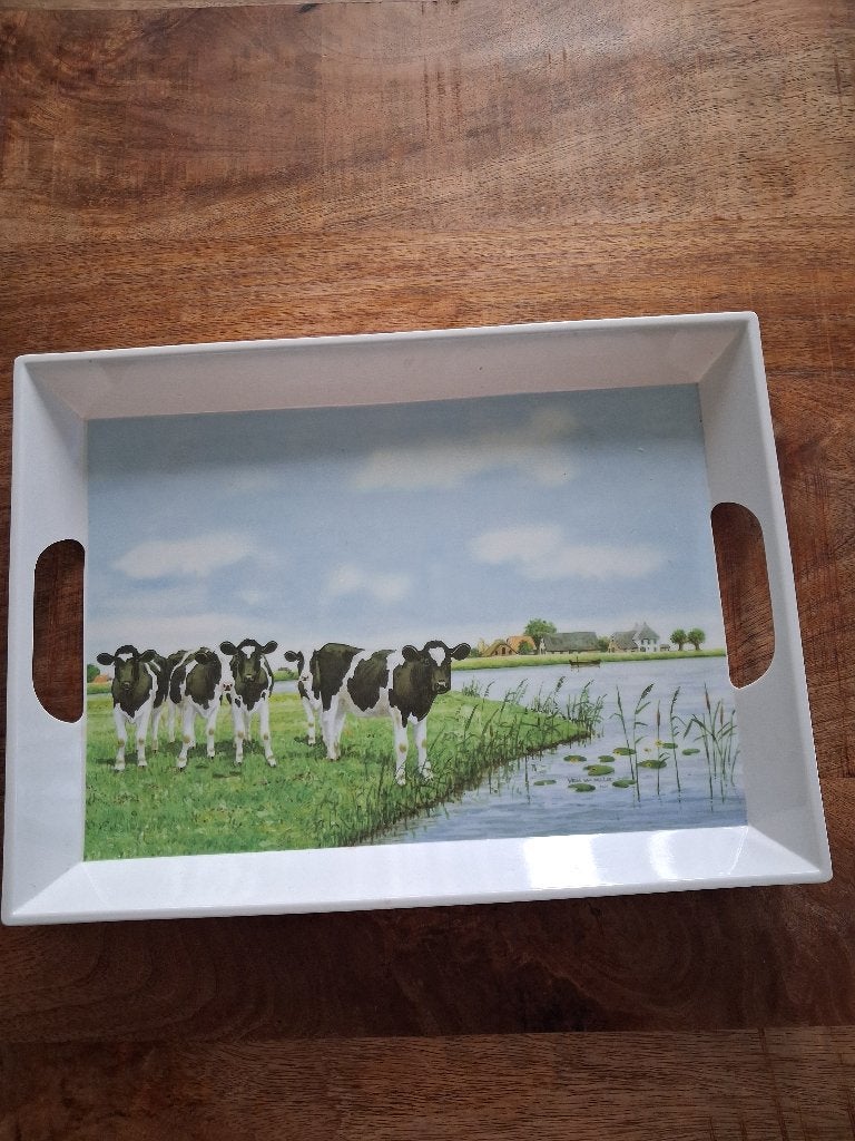 Wiebe van der zee, Ophalen, Kunststof, Gebruikt, Overige typen