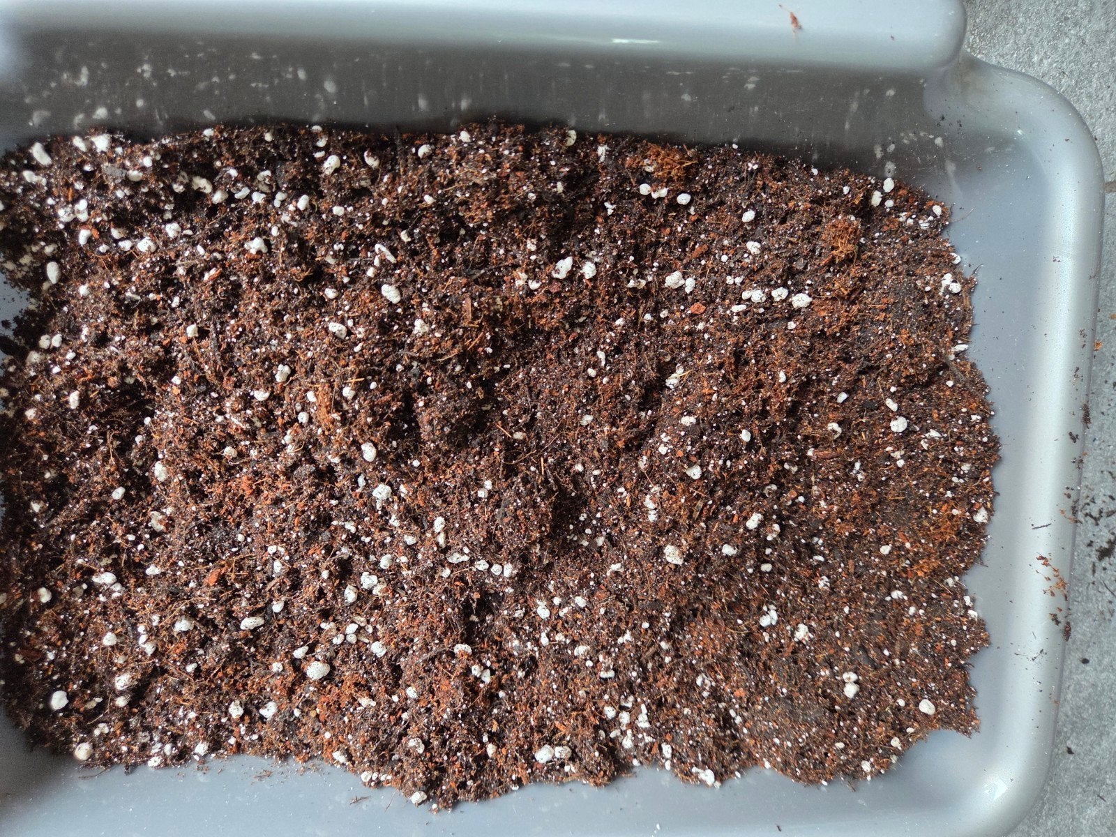 Premium Aroid Grondmix (1L/3L), Ophalen of Verzenden, Halfschaduw, Minder dan 100 cm