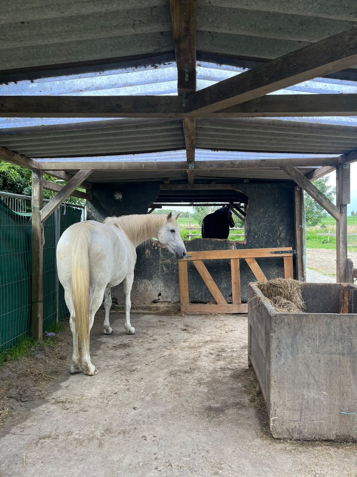 Paarden Mesthulp Andijk gezocht tegen vergoeding, Ophalen