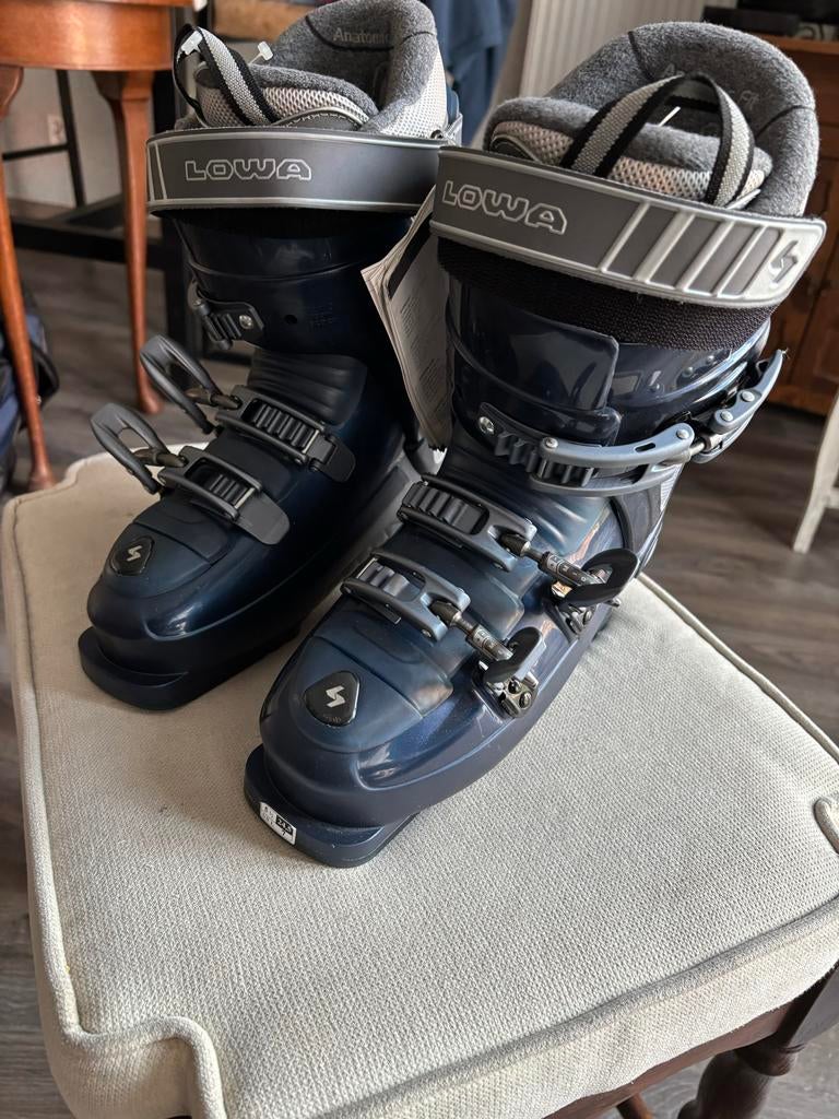 Nieuwe Lowa skischoenen maat 24.0-24.5 in originele tas, Sport en Fitness, Overige merken, 160 tot 180 cm, Schoenen, Nieuw
