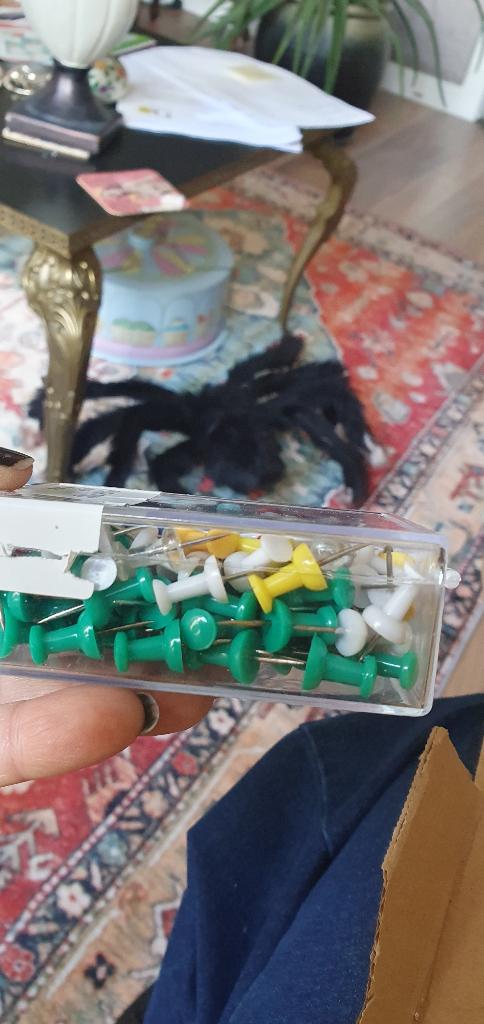Pushpin punaises, Ophalen of Verzenden, Nieuw