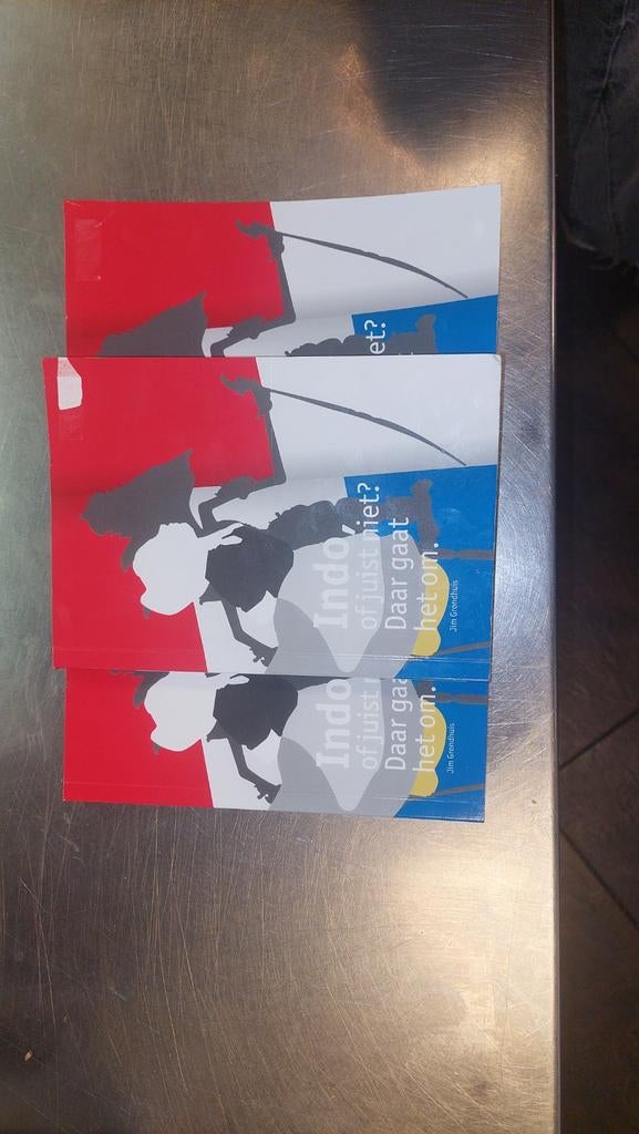 Boek Indo of juist niet daar gaat het om van 25 naar 10, Boeken, Ophalen of Verzenden, Gelezen
