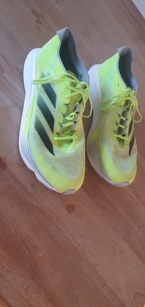 Adidas Boston 12 maat 47 1/3, Ophalen of Verzenden, Zo goed als nieuw, Hardloopschoenen, Adidas