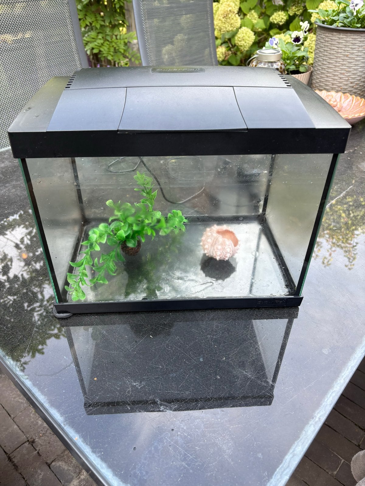 Superfish aquarium 20 liter, Dieren en Toebehoren, Ophalen, Inclusief deksel, Zo goed als nieuw, Leeg aquarium