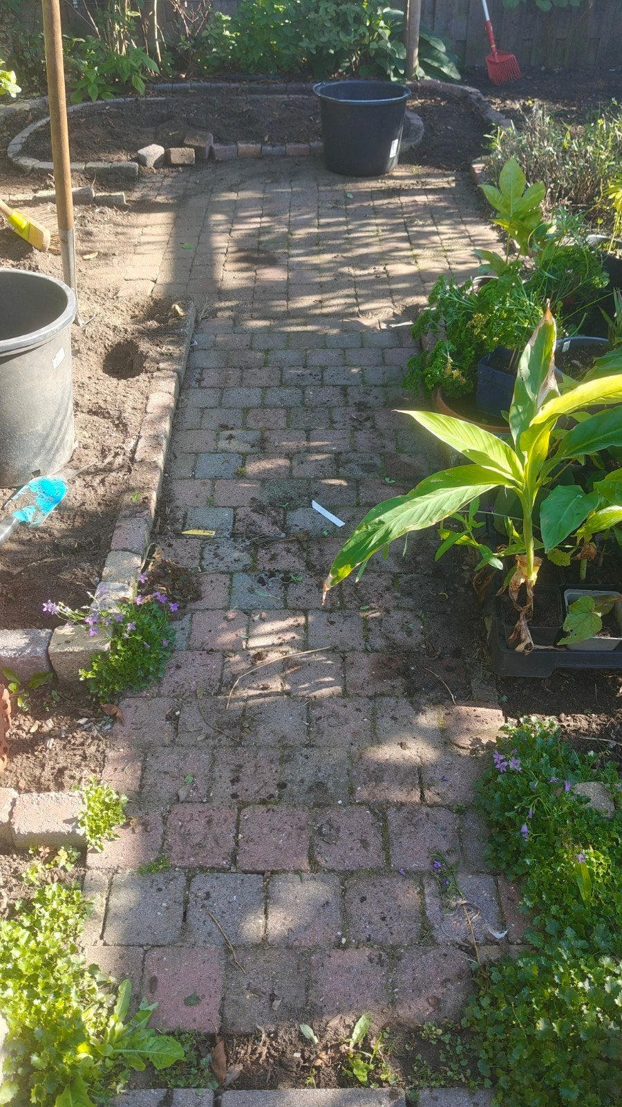 Gebakken stenen 9*9cm gratis af te halen ca 4.5m2, Ophalen, Beton, Klinkers