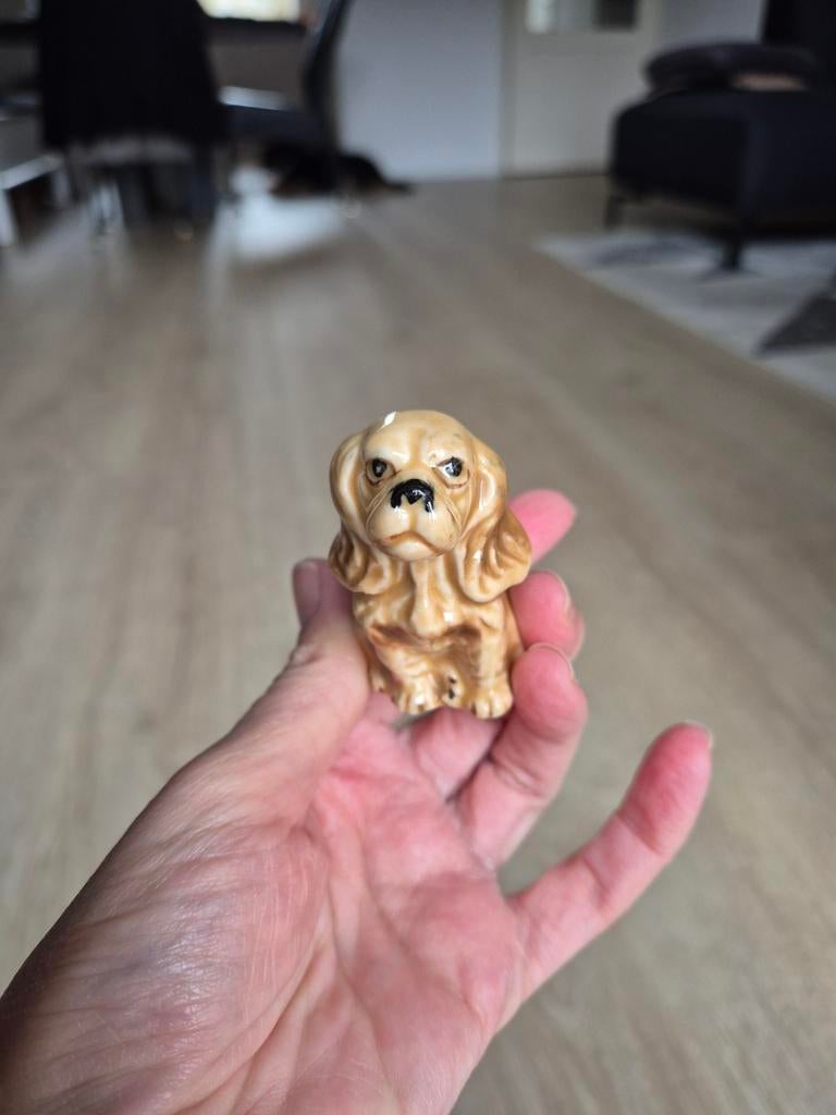 Schattig Cavalier King Charles Spaniel beeldje, Ophalen of Verzenden, Zo goed als nieuw, Dier