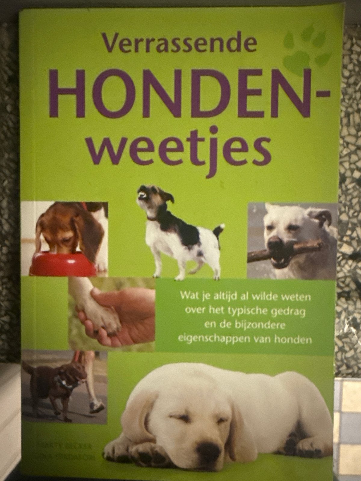 Verrassende Hondenweetjes - Alles over honden, Ophalen of Verzenden, Gelezen, Honden